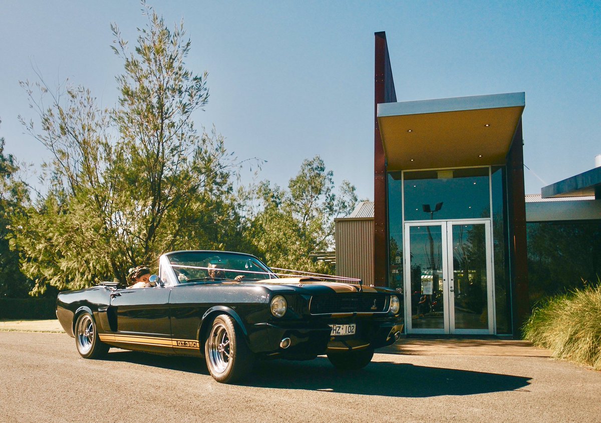 mustangsinblack's tweet photo. Our Shelby GT350H Convertible Mustang 😎 #mustang #fordmustang #shelby #shelbygt350 #gt350 #gt350h #mustanggt #mustanglovers #mustangfanclub #fordnation #mustangnation #stang #sexystangs #classicmustang #stanggang #musclecar #americanmuscle #carphotography #automotivephotography https://t.co/eqsUUDEINr