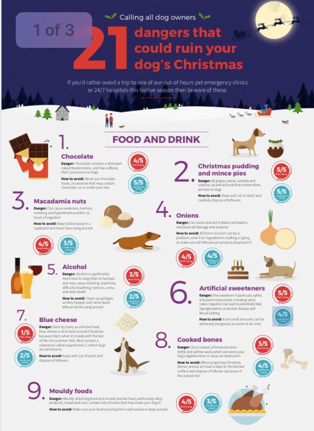 DogEnds1's tweet photo. Merry Christmas 🎄Happy New Year to all followers 🥳 . 
We hope your canine companions have a wonderful time but don’t get their paws in anything they shouldn’t! 🐾 🐶 

Here is a list of hazards to keep them safe (courtesy of Vets Now)

#dogs #dogowners #christmashazards #vets https://t.co/PLOfRyZwoP