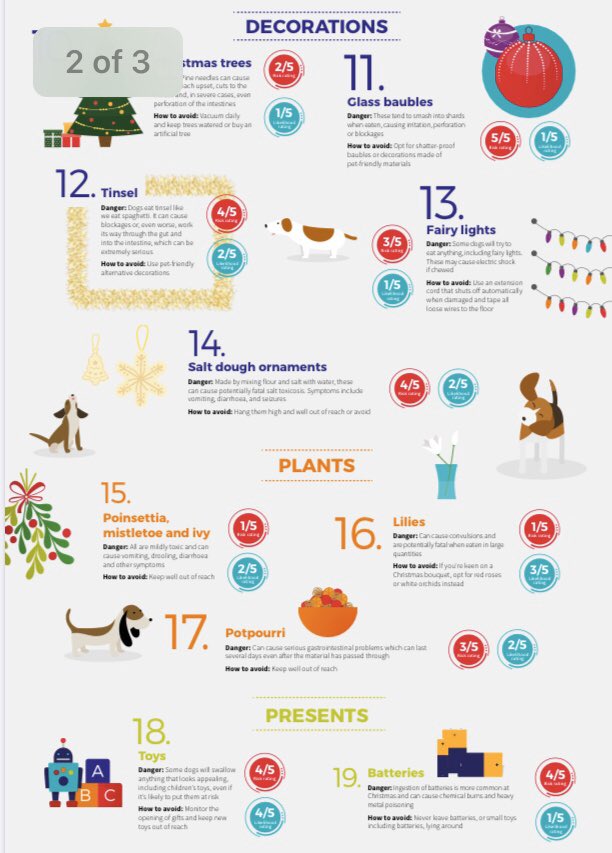 DogEnds1's tweet photo. Merry Christmas 🎄Happy New Year to all followers 🥳 . 
We hope your canine companions have a wonderful time but don’t get their paws in anything they shouldn’t! 🐾 🐶 

Here is a list of hazards to keep them safe (courtesy of Vets Now)

#dogs #dogowners #christmashazards #vets https://t.co/PLOfRyZwoP