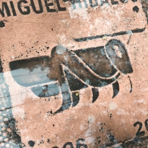 Chapulines y chapulines en la Ciudad de México. #cervezacrucru #sabrosayelegante #cdmx #mxdf ift.tt/2Zi4t5r