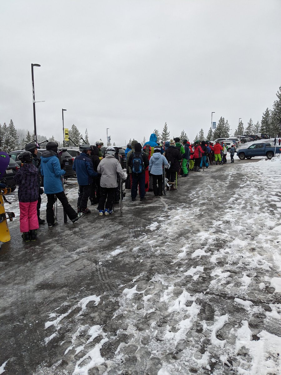 mark herbert tweet media