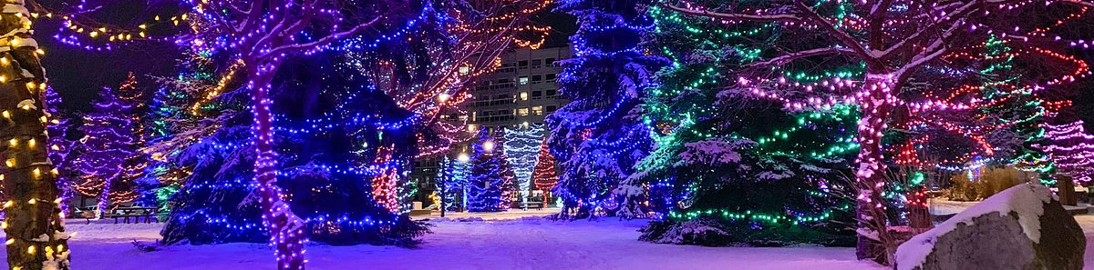 We hope your holidays are as merry and bright as the lights in Central Park! 
📷: <a href="/citysprucegrove/">City of Spruce Grove</a> 
#triregion #triregiontourism