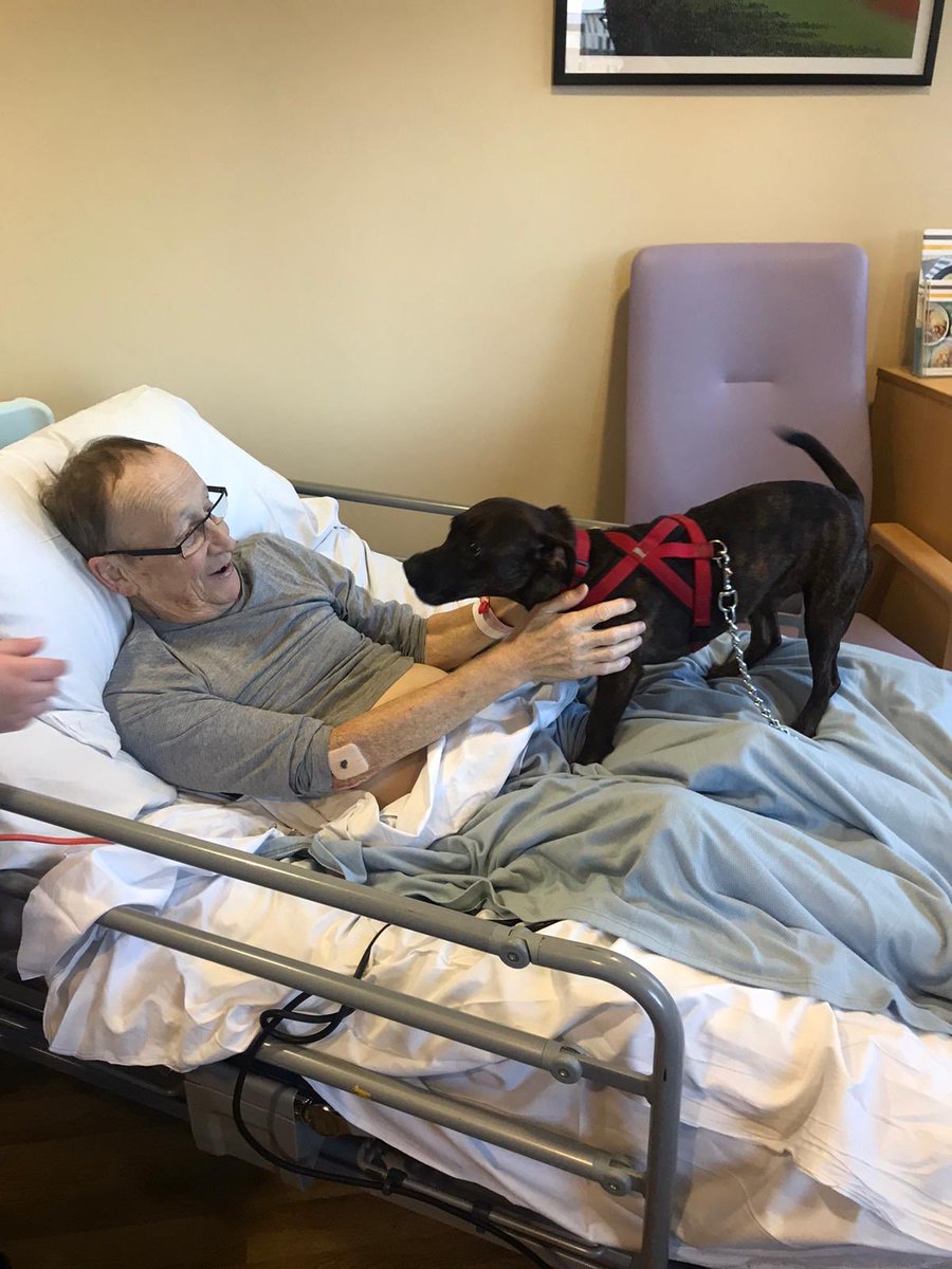 HaemOnc_WaddingtonLCH tweet media