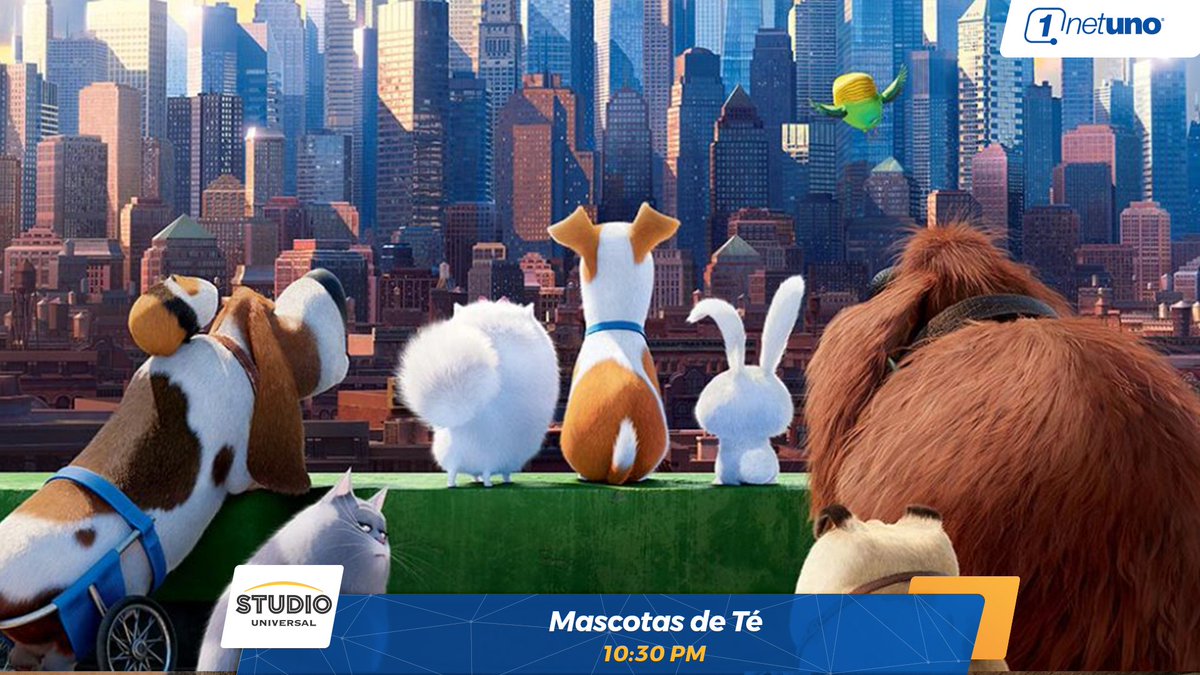 NetUnoOficial's tweet photo. Nathan es un ejemplar de una línea de figuras de porcelana que cambian con el contacto del agua. Conoce a Timebot y lo acompaña en su aventura. En el camino, las mascotas lo ayudarán a entender por qué no cambia de color. #MascotasdeTé hoy a las 10:10 pm por #StudiosUniversal. https://t.co/vK6yFIFMHQ