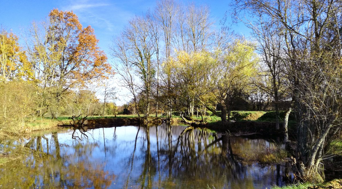 Entretenons notre #patrimoine naturel tout en préservant au maximum la #biodiversité. Merci à Aurélie Tran Van Loc du <a href="/PnrPerche/">Parc naturel régional du Perche</a> pour ses recommandations et aux frères Fillette pour leur superbe travail. #ecologie