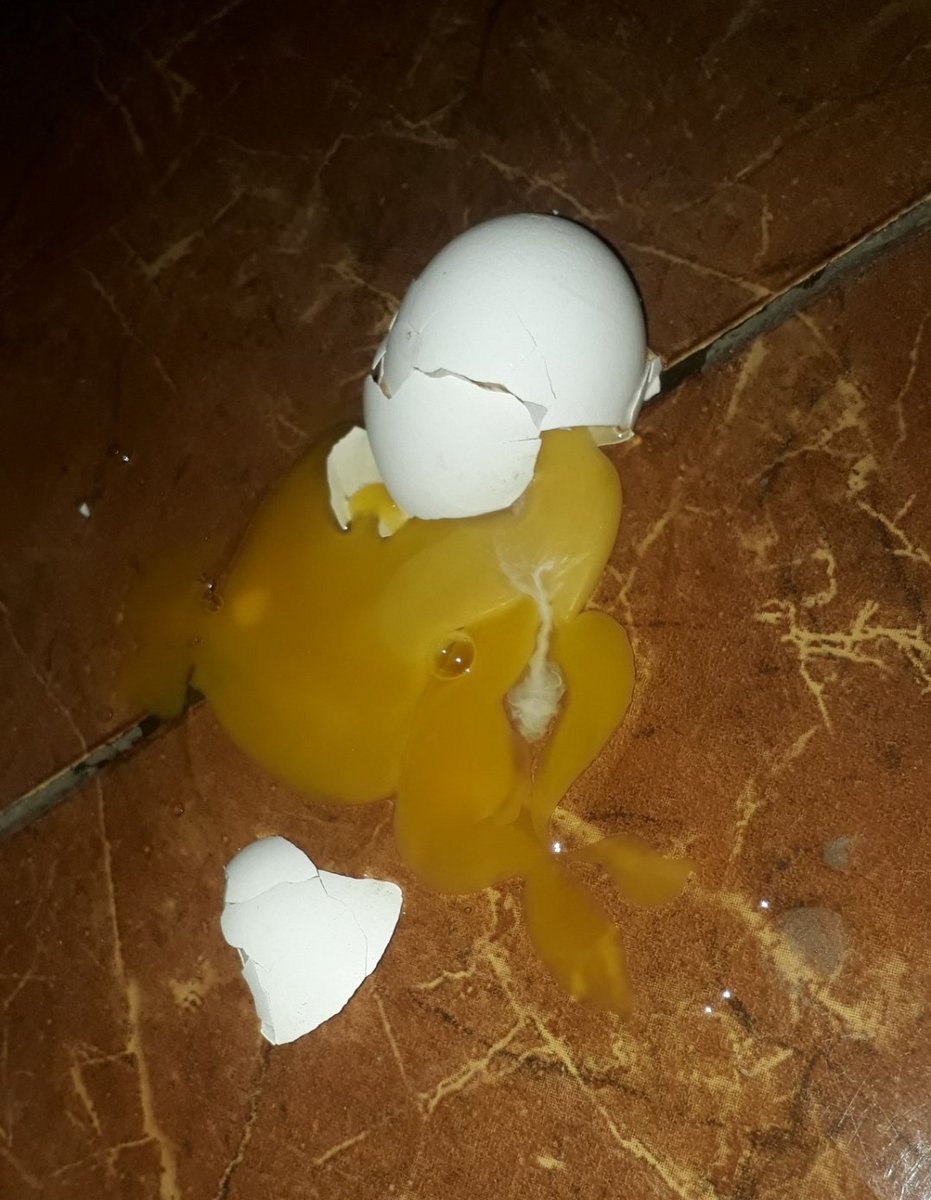 hvalenn's tweet image. El huevo de la suerte, RT para tener un buen 2020