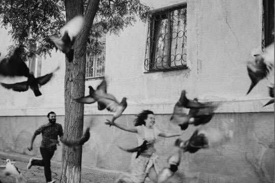 “Cuando piensas o crees o sabes, eres un montón de otra gente; cuando sientes, no eres nadie que no seas tú.”

E.E. Cummings