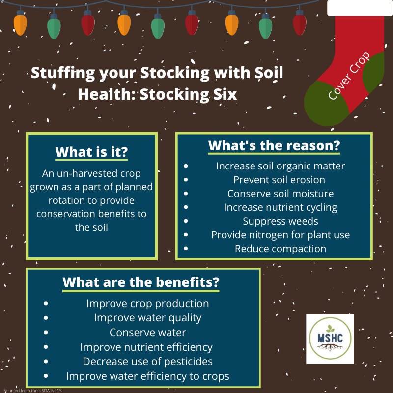 mnsoilhealthco's tweet photo. Day six's stocking! Have you used cover crops? Feel free to share some pictures in the comments. Tomorrow is our last one! 🌱 #soilhealth #stuffyourstocking #minnesota https://t.co/d0WwxWF5hO