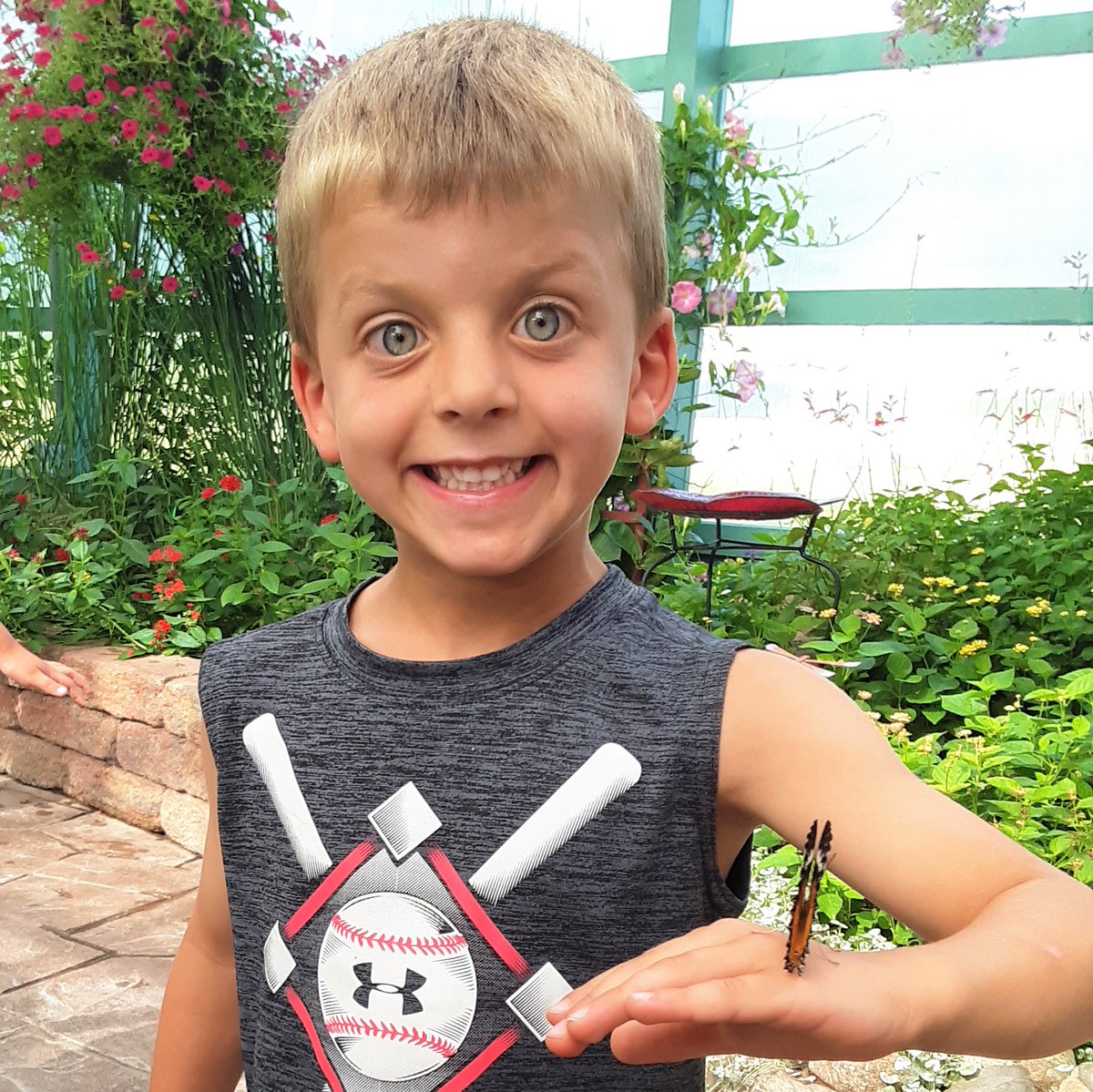 The G.T. Butterfly House &amp; Bug Zoo never gets old! Look at that magic! #SEEDSAfterSchool