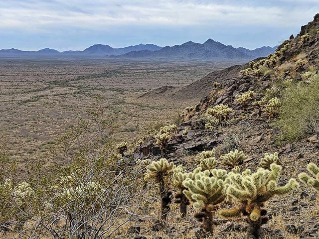 WatsonsWander's tweet photo. The clouds are not so good for our solar situation, but they sure do add some drama to to the desert landscape. https://t.co/zszTLas5oa | https://t.co/UfUdS9jd33