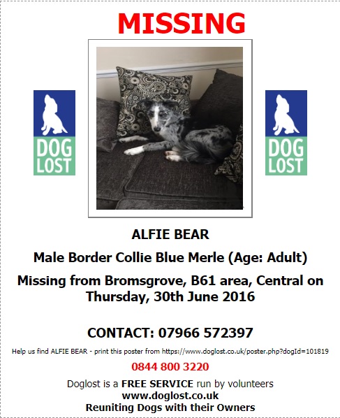 gelert01's tweet image. #ItsCollieMonday

The Month : June
The year : 2016

#HelpBringThemHome 

#AlfieBear #Blue #Buster #Skye 

@Lorrain90964806 @lorraineholt @lornsalexander @SusieKenward @bs2510 @JanineK79750164 @MarchPaw @PawsOutandAbout @SallysHelpPaws @aniaid999 @FriendlyPawsPe1 @BlogPaws