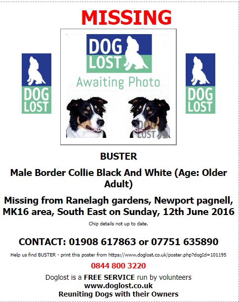 gelert01's tweet image. #ItsCollieMonday

The Month : June
The year : 2016

#HelpBringThemHome 

#AlfieBear #Blue #Buster #Skye 

@Lorrain90964806 @lorraineholt @lornsalexander @SusieKenward @bs2510 @JanineK79750164 @MarchPaw @PawsOutandAbout @SallysHelpPaws @aniaid999 @FriendlyPawsPe1 @BlogPaws