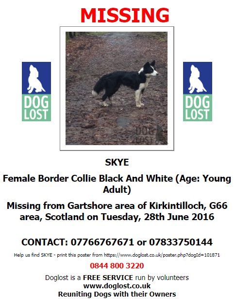 gelert01's tweet image. #ItsCollieMonday

The Month : June
The year : 2016

#HelpBringThemHome 

#AlfieBear #Blue #Buster #Skye 

@Lorrain90964806 @lorraineholt @lornsalexander @SusieKenward @bs2510 @JanineK79750164 @MarchPaw @PawsOutandAbout @SallysHelpPaws @aniaid999 @FriendlyPawsPe1 @BlogPaws