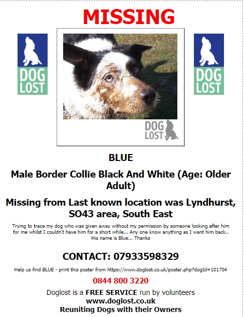 gelert01's tweet image. #ItsCollieMonday

The Month : June
The year : 2016

#HelpBringThemHome 

#AlfieBear #Blue #Buster #Skye 

@Lorrain90964806 @lorraineholt @lornsalexander @SusieKenward @bs2510 @JanineK79750164 @MarchPaw @PawsOutandAbout @SallysHelpPaws @aniaid999 @FriendlyPawsPe1 @BlogPaws