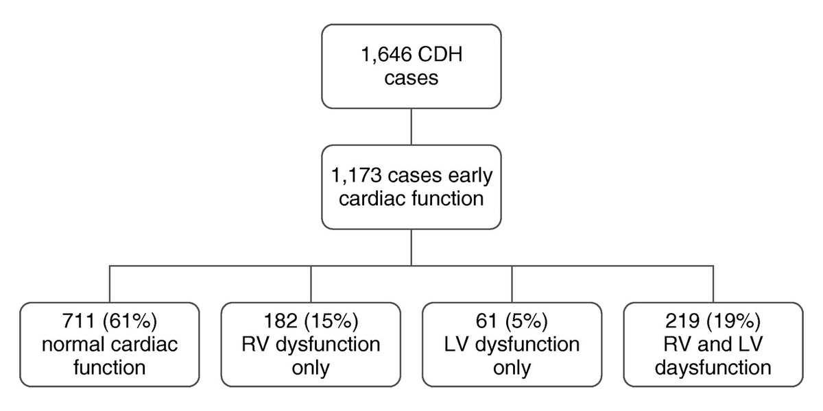 ATSBlueEditor's tweet photo. Ventricular Dysfunction Is a Critical Determinant of Mortality in Congenital Diaphragmatic Hernia https://t.co/Dk2HVDjtRn https://t.co/vUBLLWhk2H