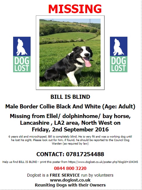 gelert01's tweet image. #ItsCollieMonday

The Month : September
The year : 2016

#HelpBringThemHome 

#Alfie #Bill 

@MarchPaw @PawsOutandAbout @SallysHelpPaws @aniaid999 @Lorrain90964806 @lorraineholt @lornsalexander @PcsharonPage @lostfoundkent @animal_forum @SNARLLondon @BarkologyPod @BarkNSqueakCom