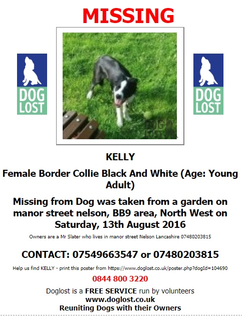 gelert01's tweet image. #ItsCollieMonday

The Month : August
The year : 2016

#HelpBringThemHome 

#Harry #Kelly 

@Lorrain90964806 @lorraineholt @lornsalexander @MarchPaw @PawsOutandAbout @SallysHelpPaws @PcsharonPage @animal_forum @Nkelly332 @SNARLLondon @BarkNSqueakCom @The_Bark @WoofWoof_TV @bs2510