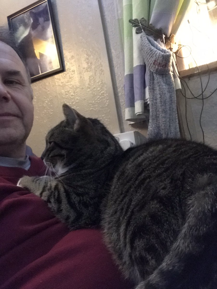 Duncangreen11's tweet photo. Someone demanded a cuddle after I finished wrapping!! #CuddlePlease https://t.co/syEFrlPPZq