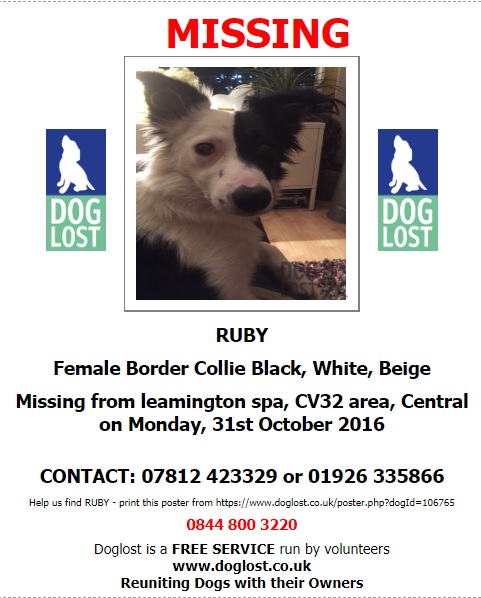 gelert01's tweet image. #ItsCollieMonday

The Month : October
The year : 2016

#HelpBringThemHome 

#ruby 
@Lorrain90964806 @lorraineholt @lornsalexander @SusieKenward @SgtTomCarter @PcsharonPage @MarchPaw @PawsOutandAbout @SallysHelpPaws @animal_forum @PetsLocated @OneStopAllDogs @petsarefound