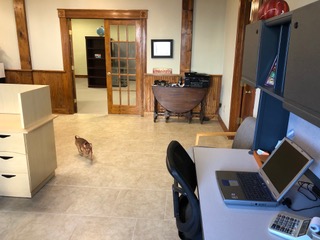 CreativeWorksp1's tweet image. Pic of a small desk available for rent singlely or as part of a package.  Call for details. Creative Workspaces.  officespacerentleasenavasotatexas.com  #rent #lease #houston #texas #navasota #real #estate #rentals #leasing #office #space #grimes #county #harris #co working