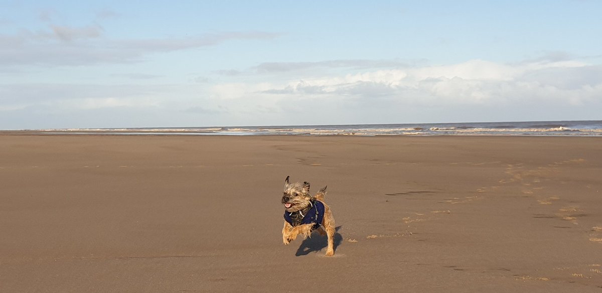 🐾💗Lady Bonnie Boo OBE💗🐾 tweet media