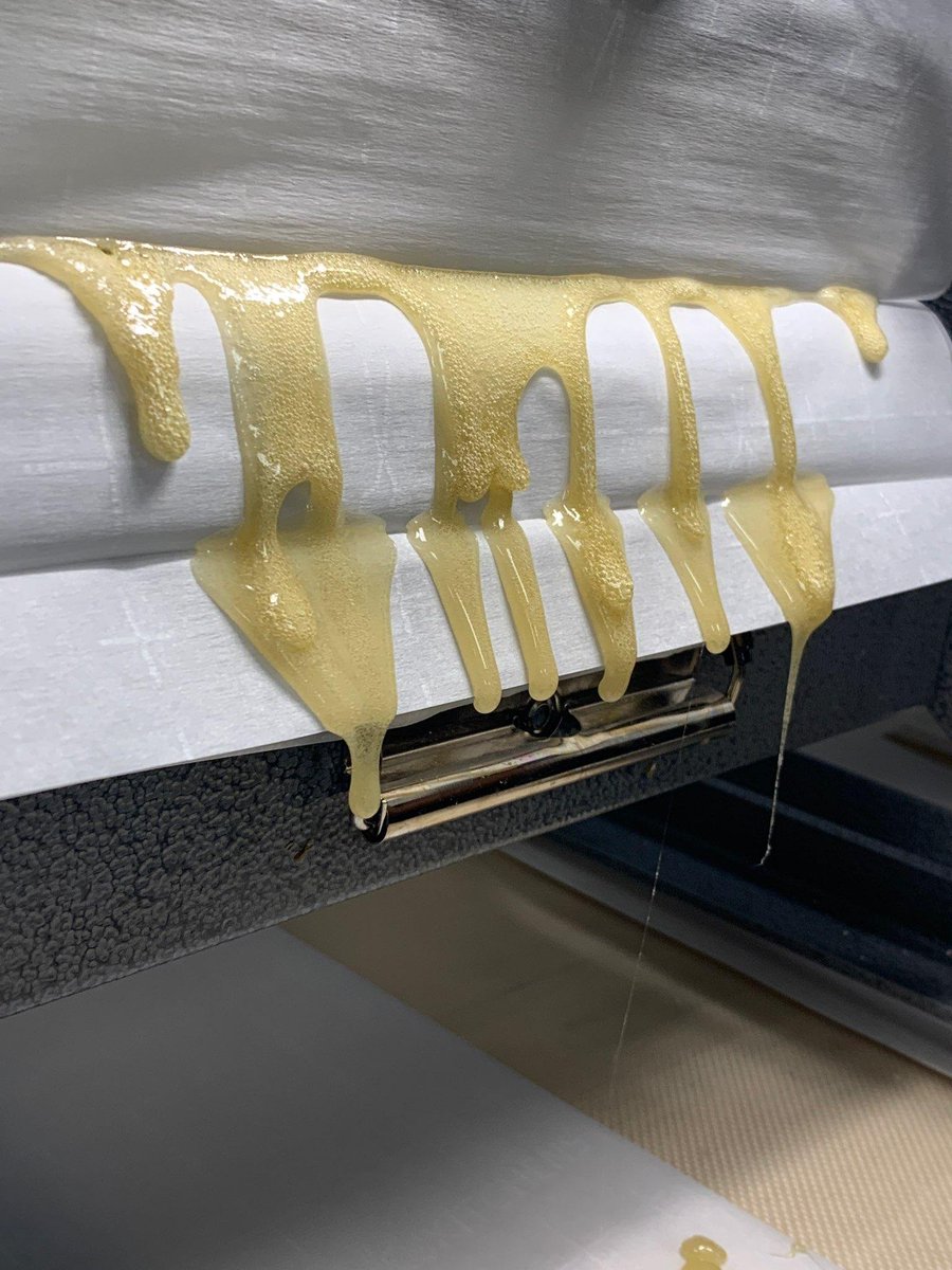 growsciences's tweet photo. Watermelon Waterfalls.
#WatermelonZkittlez #WelcomeToQuality #LiveHashRosin #Rosin #PurePressure #Prop203 #azsquished #azmmj #GregisNew https://t.co/s32zE8cMuC