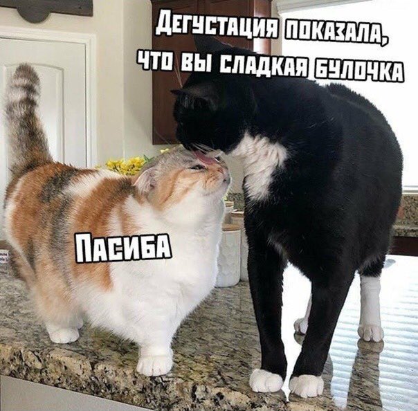 EMfqWIDX0AERG_p?format=jpg&name=small