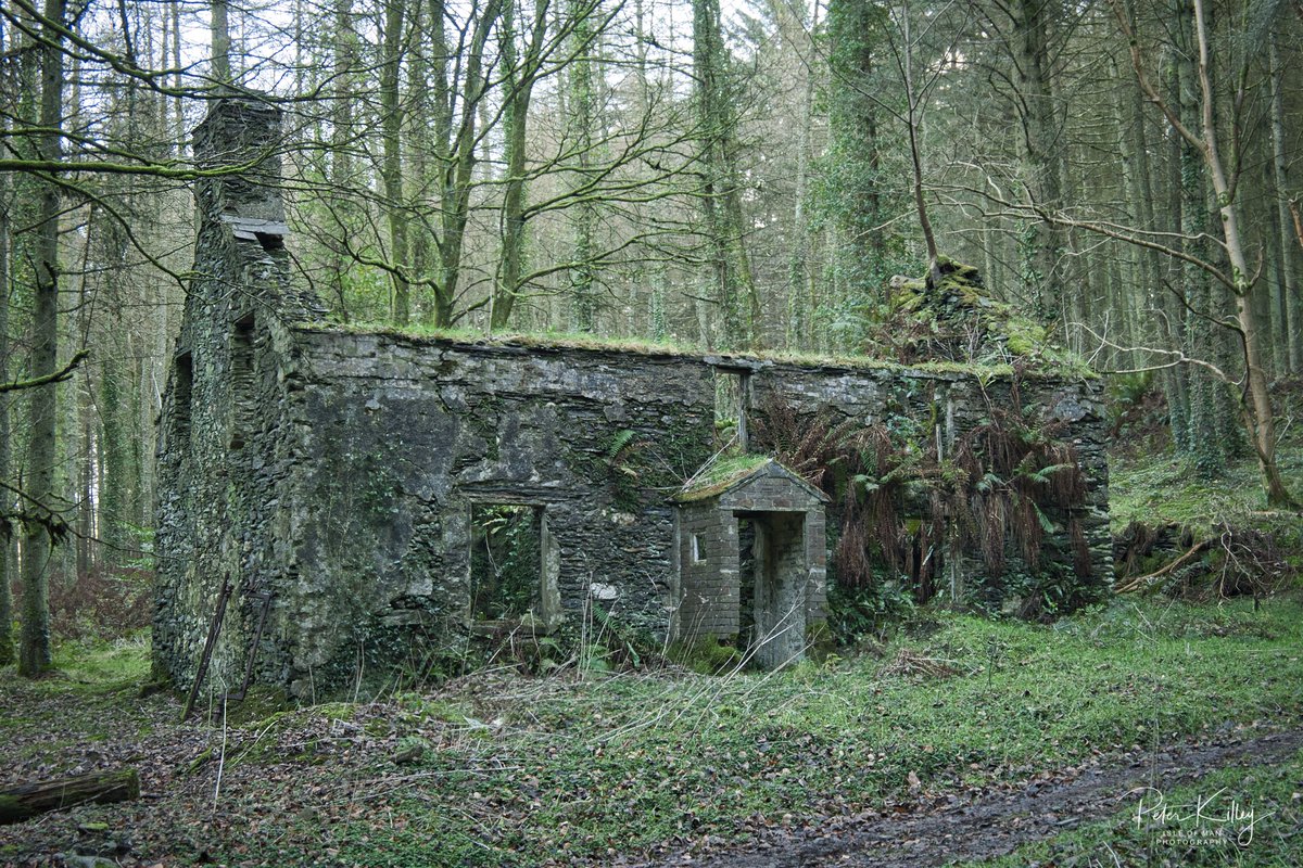 manxscenes's tweet photo. A lovely walk on the Public Footpath today to the former Eairy Beg Farmhouse which is now a beautiful Tholtan ๐ฎ๐ฒ Happy Christmas y'all ๐
#sleofman #iom #man #tholtan #tholtans #abandoned #onceloved #farmhouse #manxscenes #myiomstory https://t.co/ZZxM6FQskJ