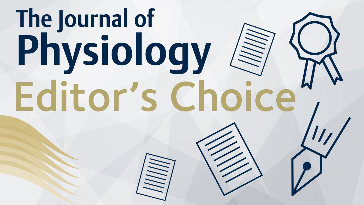 JPhysiol's tweet photo. 'Postnatal β2 adrenergic treatment improves insulin sensitivity in lambs with IUGR but not persistent defects in pancreatic islets or skeletal muscle' from @uarizona #cardiovasculardysfunction #metabolicsyndrome https://t.co/GELgAK7Jjs https://t.co/YT3FejGGdl