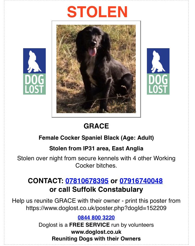 rosieDoc2's tweet photo. GRACE ⚫️ #STOLEN ⚫️
With FOUR other #workingdogs #gundogs #cocker BLK/wh  #IP31 #EastAnglia 
🔴DO YOU HAVE ANY INFO REGARDING THIS THEFT🔴 family left heartbroken 20/12/19 FIVE DAYS BEFORE XMAS #GreatLivermere (on edge of #Ampton estate #Suffolk ‼️‼️‼️https://t.co/xhx8HoQVGA https://t.co/8xaSqg21b7