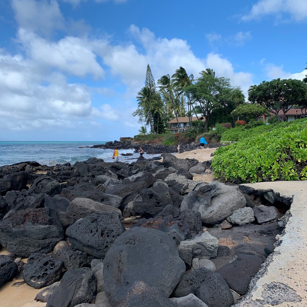 KathyLyonsAuth's tweet photo. Rocks. Waves. Beautiful beach. I know I should think of something profound to say. All I've got is that it's beautiful and I'm so lucky to be here. #Hawaii #vacation #AuthorsLife #melekalikimaka #amwriting https://t.co/5f3Hc9amHJ