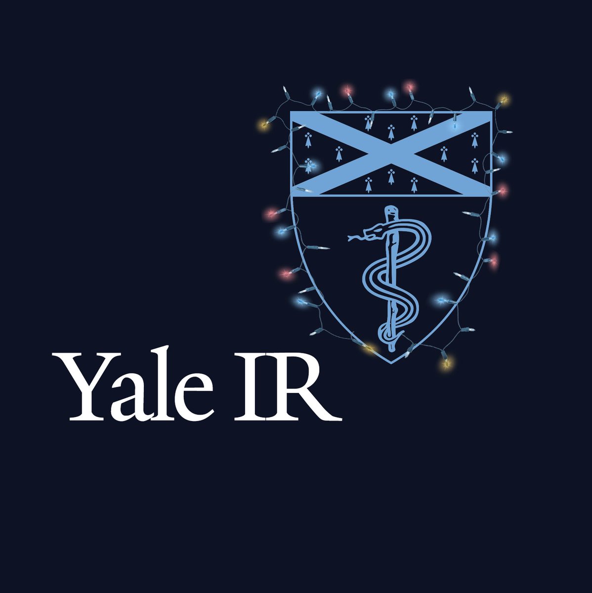 Yale_IR's tweet photo. @yale_ir wishes love and happiness to everyone this holiday season! #happykwanzaa #happyhannukah #merrychristmas #happyholidays https://t.co/WnCXzweqsD