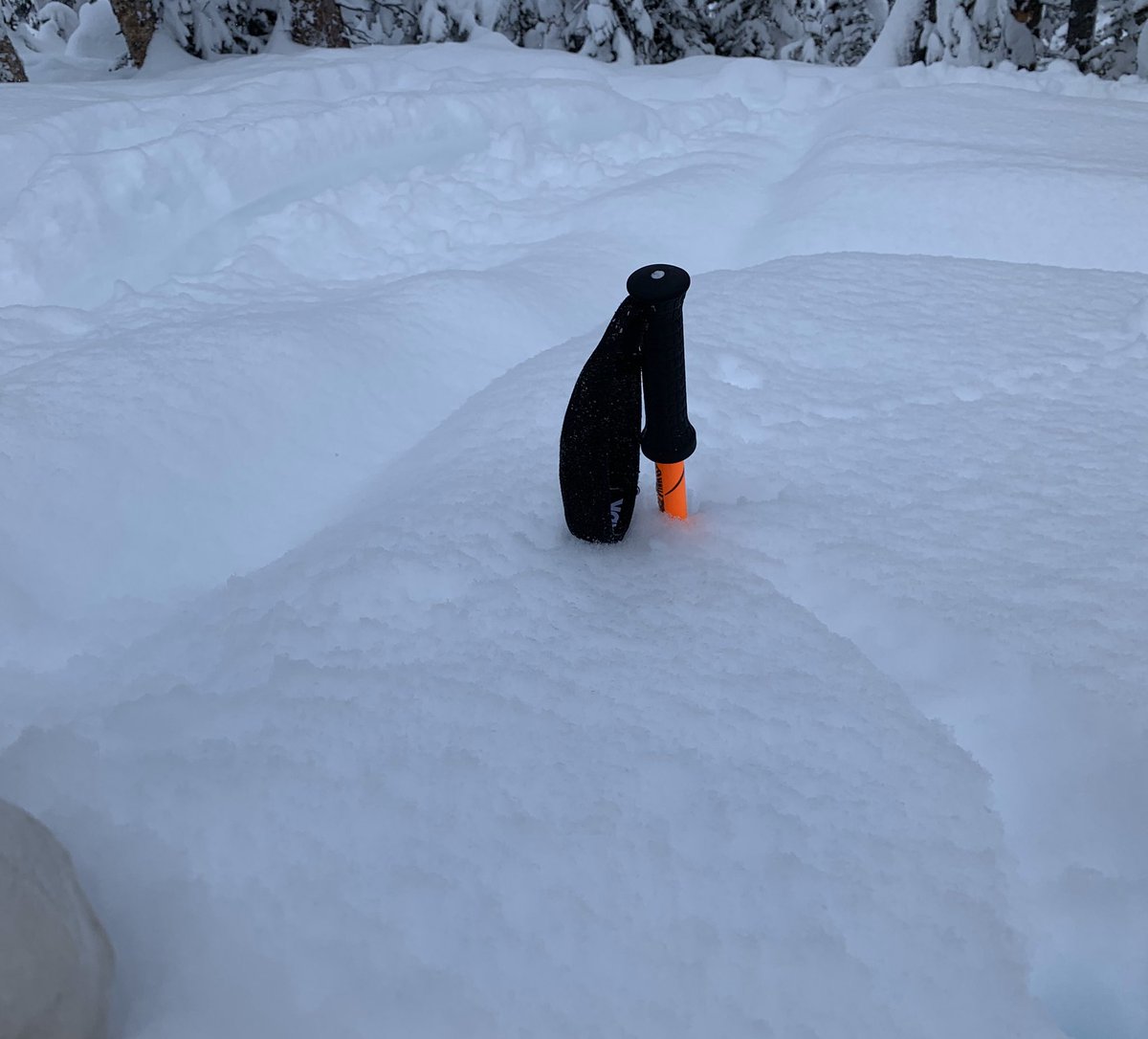 Kim Ledene tweet media