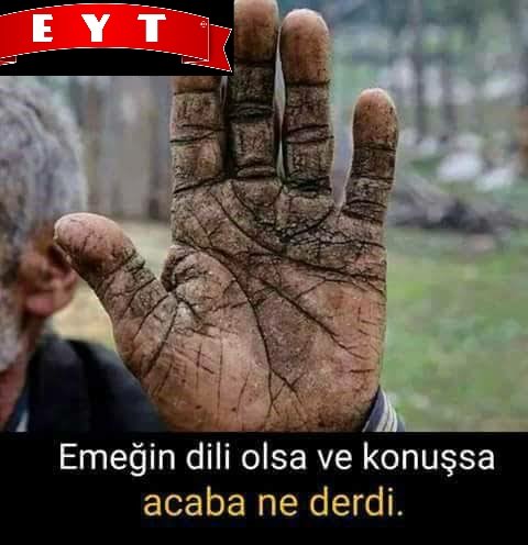 _BirDamlaMavi's tweet photo. #YıldızSuntaEmekçileriYalnızDeğildir https://t.co/1gzldd1R7S