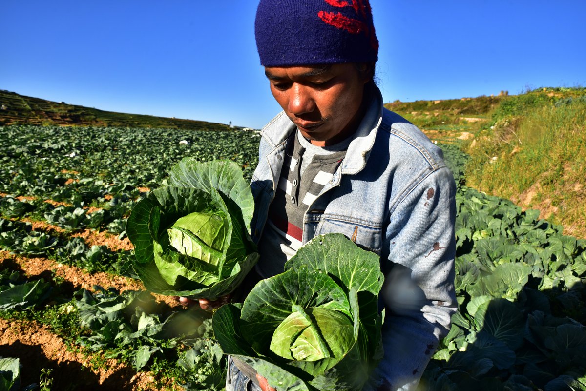 Asian Development Bank tweet media