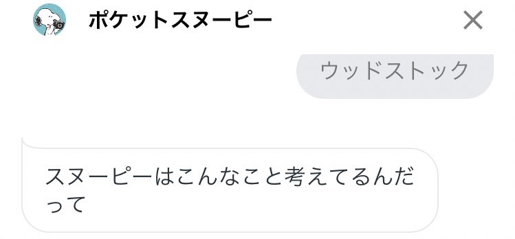 ポケットスヌーピー ポケットスヌーピー