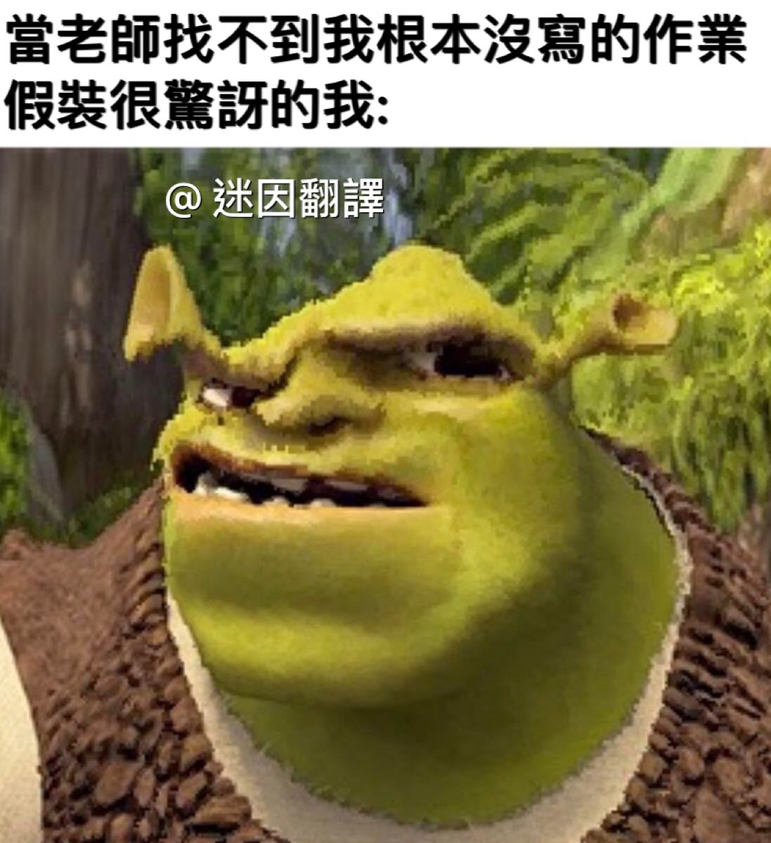 不可能阿那天你在收作業的時候我就交了阿(不解貌#meme #memetranslation