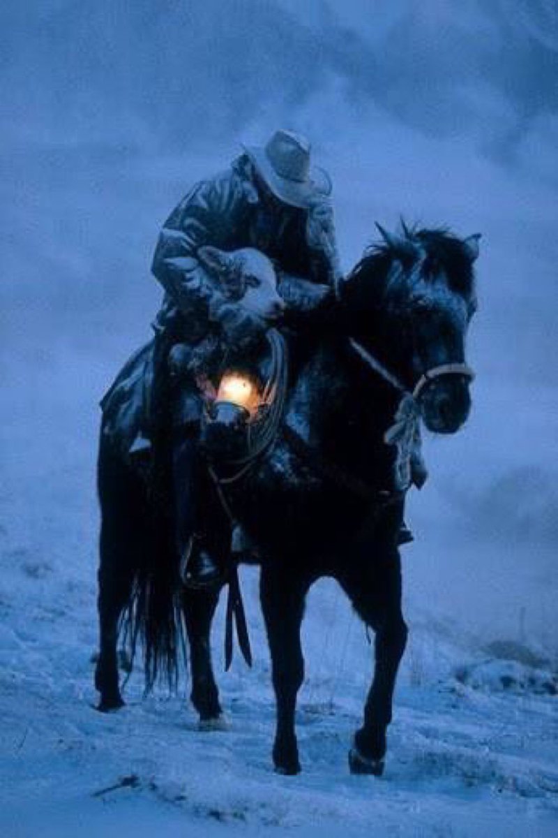natecrane's tweet photo. Want to get my #Christmas wishes in first. If you ain’t first, you’re last. 😁 Safe travels, thanks for sharing your agriculture story &amp; all the best in 2020! Looking forward to learning, having fun &amp; making a prosperous year together. All the best to you &amp; yours! #GiddyUp 👍💯 https://t.co/dNgUaTEFDj