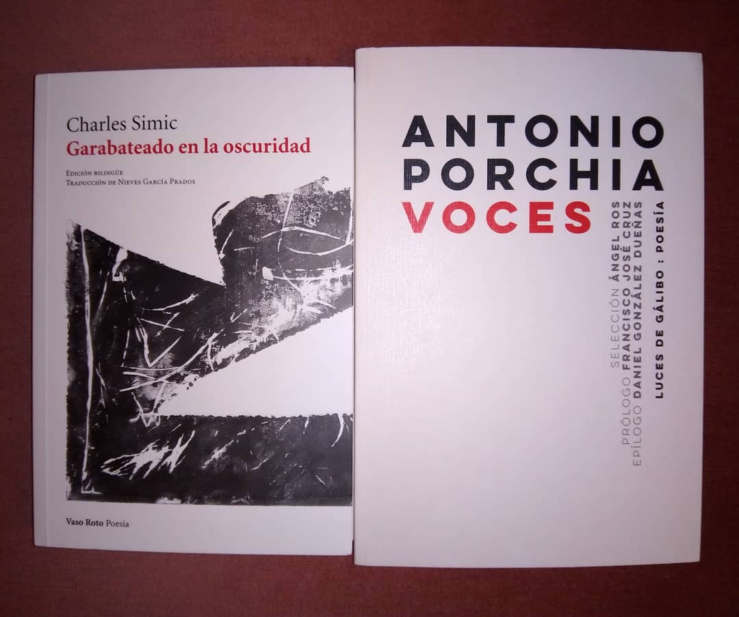 jesantana1976's tweet photo. Turno de: "Garabateado en la oscuridad" de Charles Simic y uno de mis dioses Antonio Porchia "Voces" (en otra hermosa edición). #CharlesSimic #AntonioPorchia #Poeta #Poesia #Poetas #Poemario #Voces #lucesdegalibopoesia #LucesdeGalibo #VasoRotoEdiciones #VasoRoto https://t.co/EjADztSn4r
