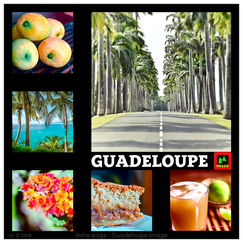 Guadeloupe_Pic's tweet photo. Joyeuse fin d'année . . .
—————————
#Guadeloupe - #G_image
🌴 ☀️ ❤️ 💦 🔥 https://t.co/sWHFwLAlBk