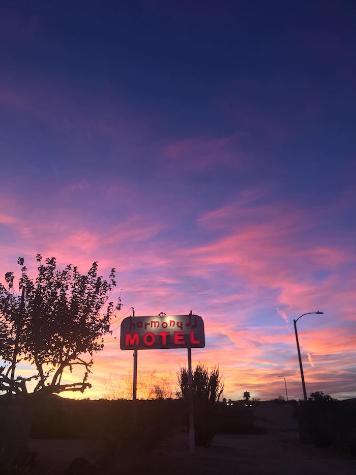 Harmony Motel tweet media