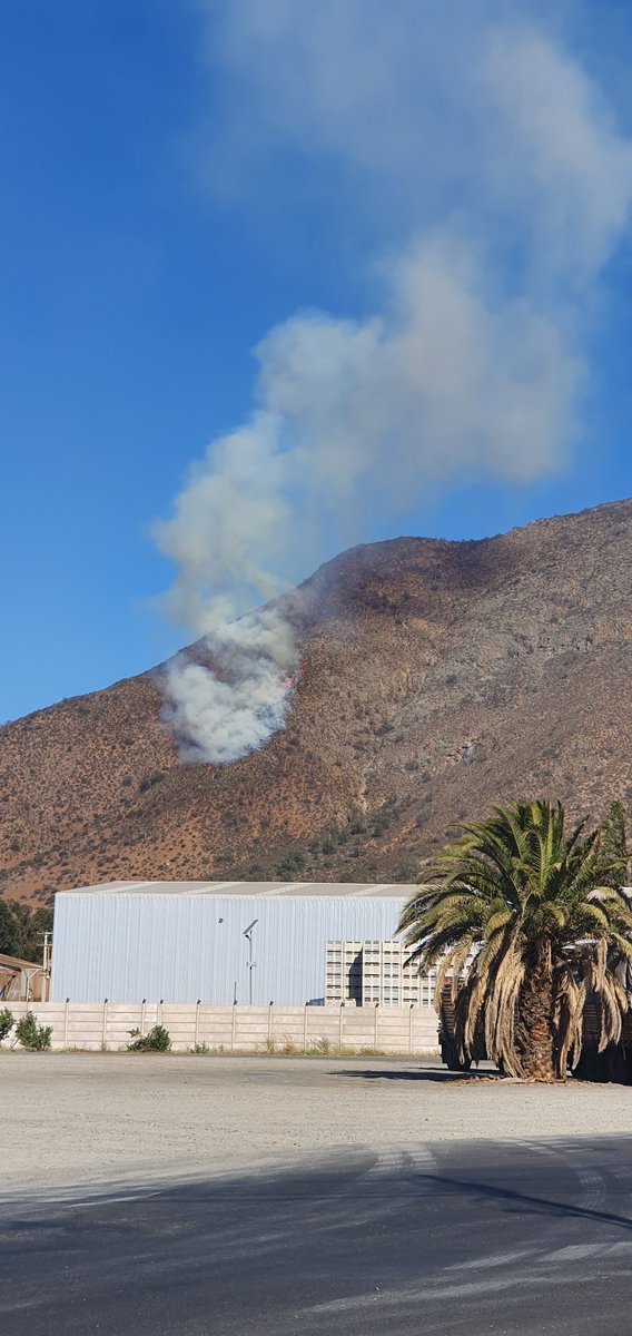 pilitha_mg's tweet photo. Incendio en cerro de Paine, frente a tenencia de carabineros sector Angostura! Avanza muy rapidamente! https://t.co/OdThVNV8fJ