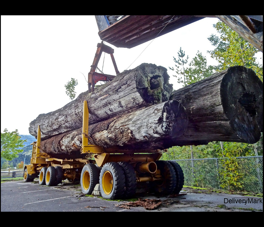 DeliveryMark's tweet photo. Massive #lumber heading for processing. - Use The #DeliveryMark #Delivery App for all your deliveries. * Easy To Use * Inexpensive * Powerful functionality* Visit https://t.co/AGD4ySYmVu today! =#courier #owneroperator #trucks #hotshottrucking #smallbusiness #makemoney https://t.co/y8PXGiRowD