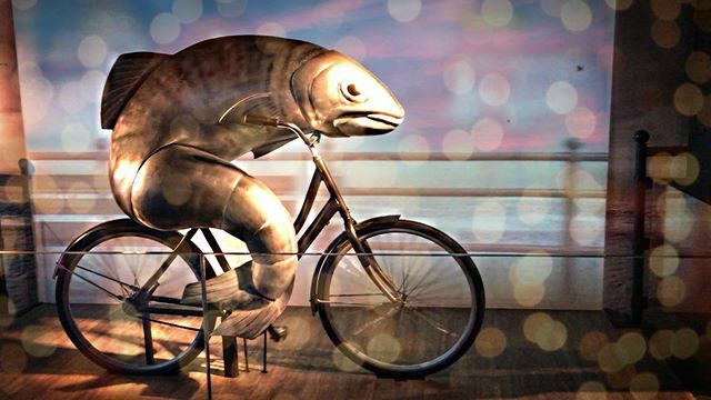 vengoviajando's tweet photo. El pez viajero... 🚲
Vengoviajando -
-
-
-
#viajes #travel #turismo #vacaciones #bestoftheday #photomobile #instaphoto #viajar #travelphotography #travelgram #viajeros #instatravel #viaje #trip #photography #aventura #travelblogger #viajerosporelmundo #fotografia #visuala… https://t.co/3cyB4L2yEA