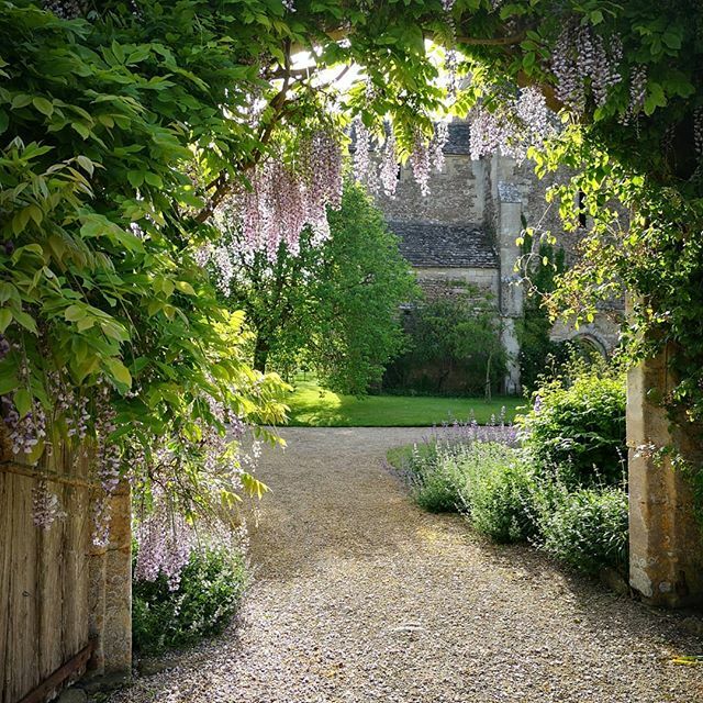 Mortimer_scapes's tweet photo. Can't wait to get back to this garden in spring. It's a magical place with 13th century ruins in the garden. #englishheritage #englishgarden #historic #wisteriahysteria #gardenarchitecture #gardenarch https://t.co/JJ9JJcW70Y https://t.co/EDpsnEESq0