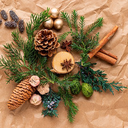 mpixpro's tweet photo. Merry Christmas and Happy Holidays from all of us here at MpixPro. https://t.co/Pixd7eosXZ
