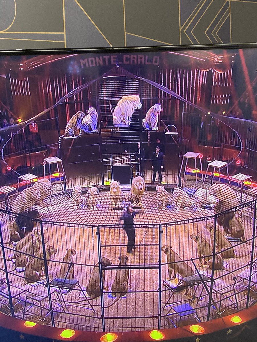 BrunoMaltor's tweet photo. Vous n’avez pas honte @France3tv ? Mettre un cirque avec des dizaines de lions et de tigres en soirée, au calme ? Putain, on arrive en 2020 ... https://t.co/JIpFCnDAyT
