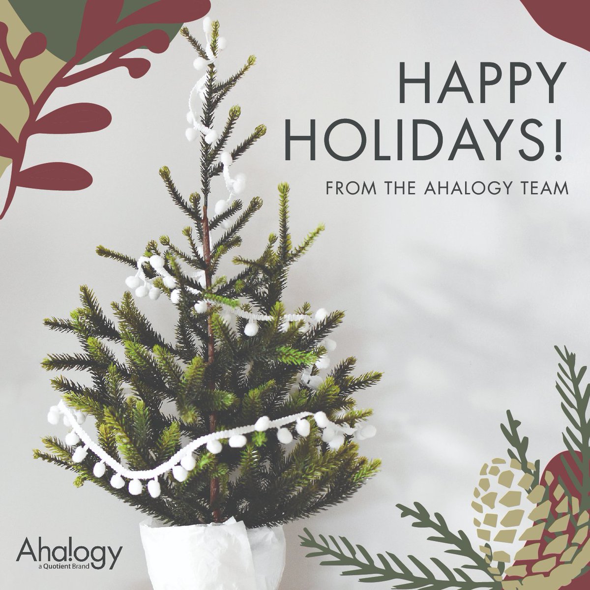 Quotient Social tweet media