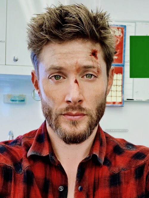 — here you will see his current attire
     after getting back from his most 
     recent hunt.

     Oh, how how he loves his job. . .