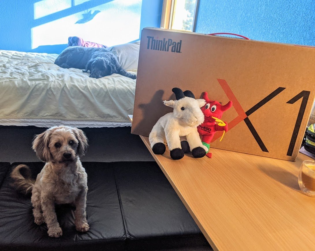 dgoodkin's tweet image. Step 2: BabyGroff, Beastie, the #DogsofFreeBSD, and I unboxed the box. We&apos;ll be setting up this baby and our older Lenovo T420 with #FreeBSD 13.0-CURRENT over the next few days. #GettingStartedWithFreeBSD
